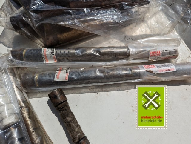 PXL_20240511_121307553